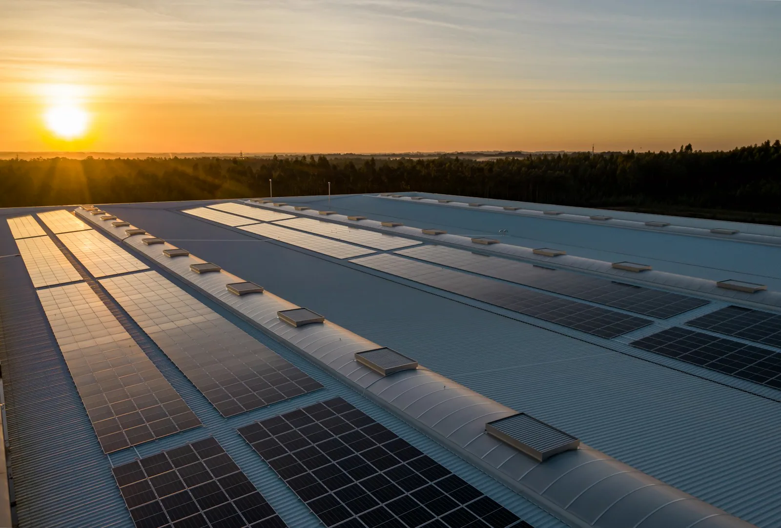 Solarmodule auf einer Freifläche